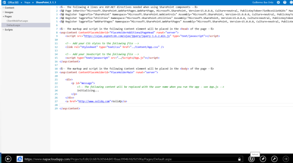 Napa funcionando sobre IE10 versión metro