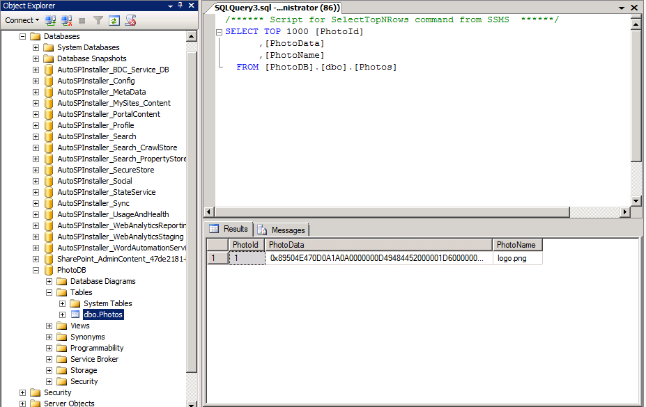 Exponiendo datos binarios con BCS