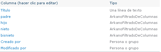 Imagen 3 – Vista de los campos definidos