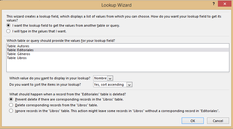 Imagen 11.- Wizard de configuración de Lookups.