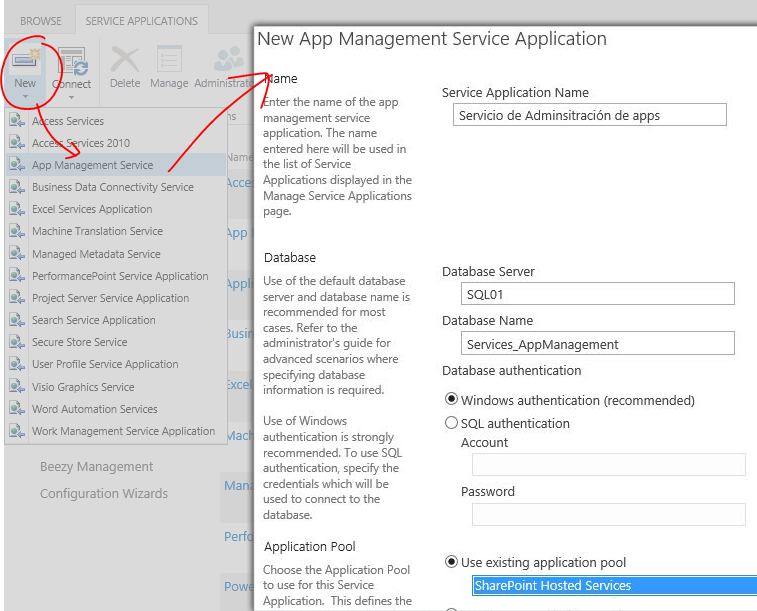 Imagen 2.- La creación manual de una aplicación de servicio nos permite tener el control.