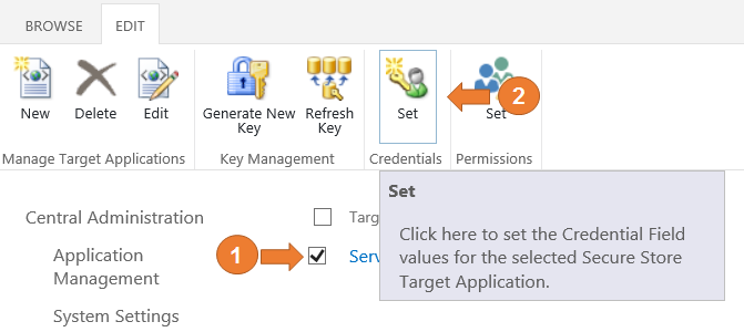 Imagen 10.- Muestra la cinta de opciones de la aplicación de servicios de almacén seguro (Set).