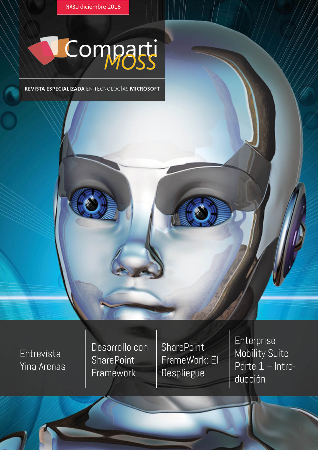 Número 30 - Diciembre 2016