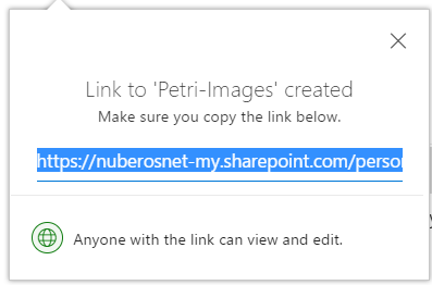 Imagen 5.- Enlace generado por la acción “Copiar enlace”.