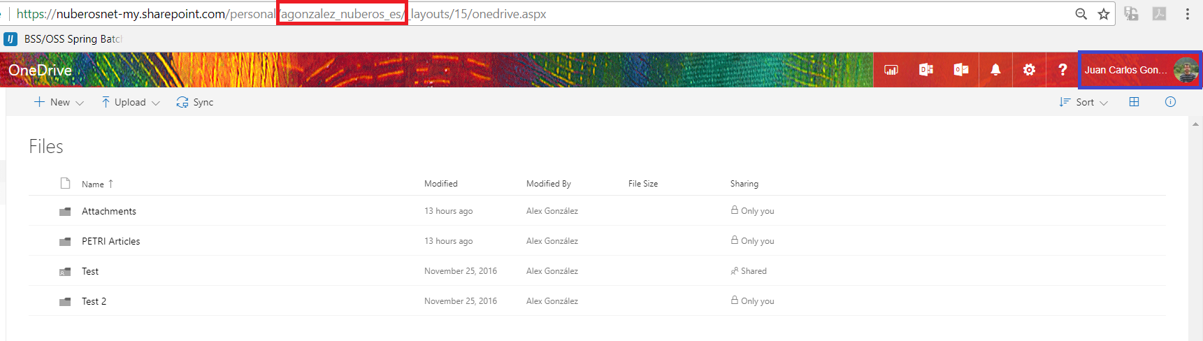 Figure 3.- Acceso al ODFB del usuario como administrador secundario.