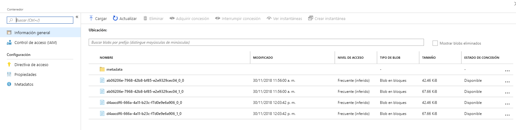 Imagen 26.- Visualización de los datos copiados.