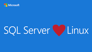 Imagen 2.- SQL & Linux.