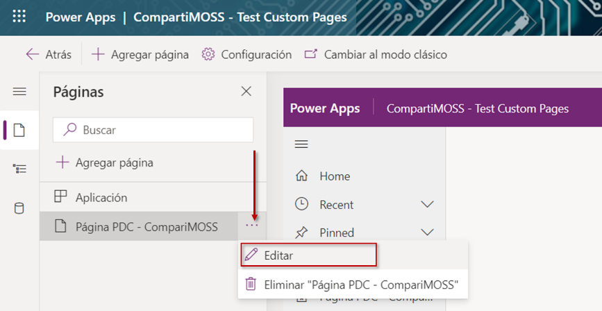 Imagen 11.- Acceso a la edición de la página personalizada.