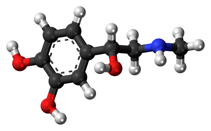 Imagen 3.- Aplicación de redes GAN en la generación de juegos de moleculas.