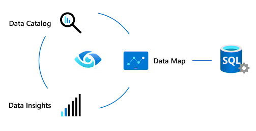 Imagen 3.- Azure Purview integration.