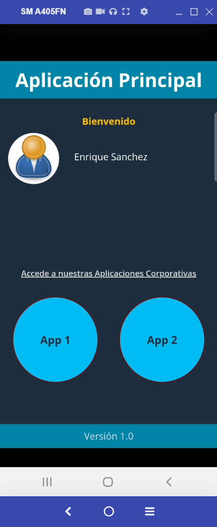 Imagen 37.- Aplicación desplegada.