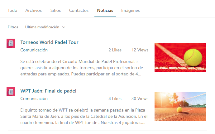 Imagen 8.- Apariencia final de los resultados de búsqueda.