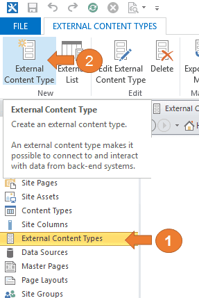 Imagen 14.- Muestra la cinta de opciones del objeto de tipos de contenido externo.