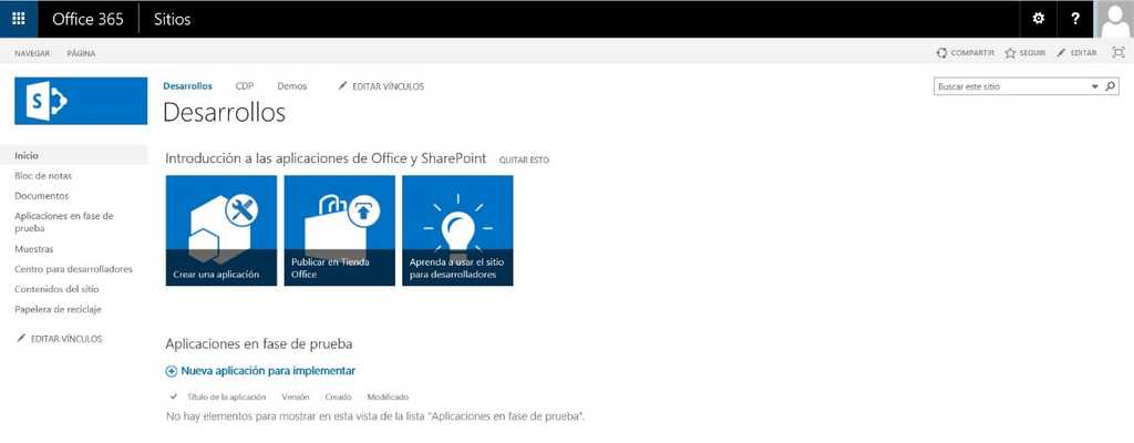 Imagen 4.- Developer Site en Office 365.