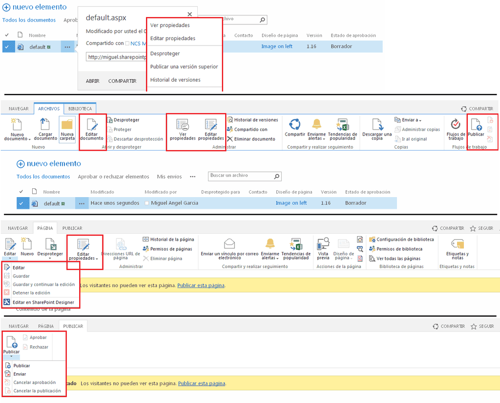 Opciones de la Cinta para la edición y publicación de páginas.