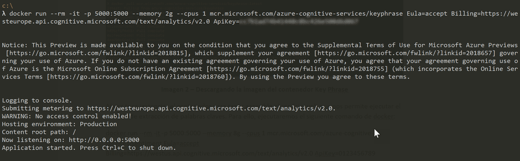 Imagen 3.– Ejecutando una instancia del contenedor Key Phrase.