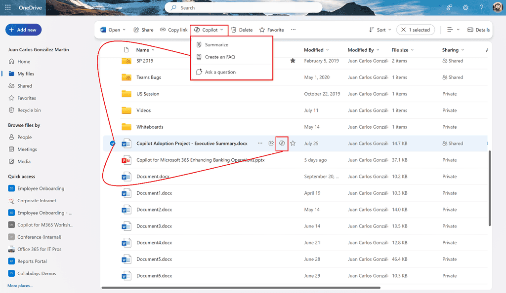 Imagen 1.- Acceso a Copilot para OneDrive.